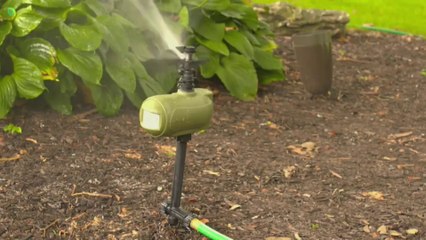 Next-Level Ingenious Inventions You Need to See