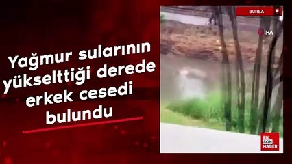 Bursa'da yağmur sularının yükselttiği derede erkek cesedi bulundu
