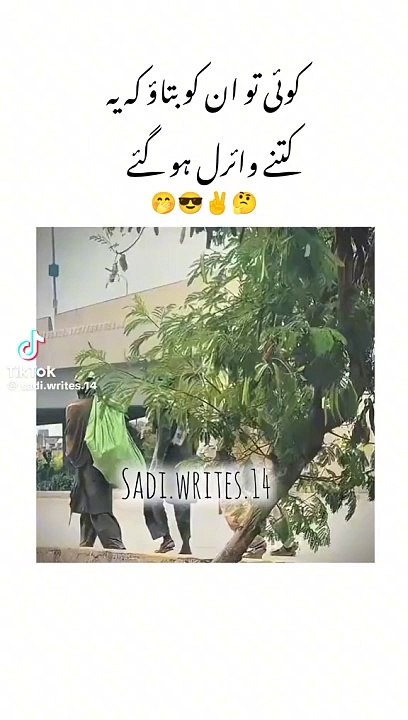 Pakistani Talent