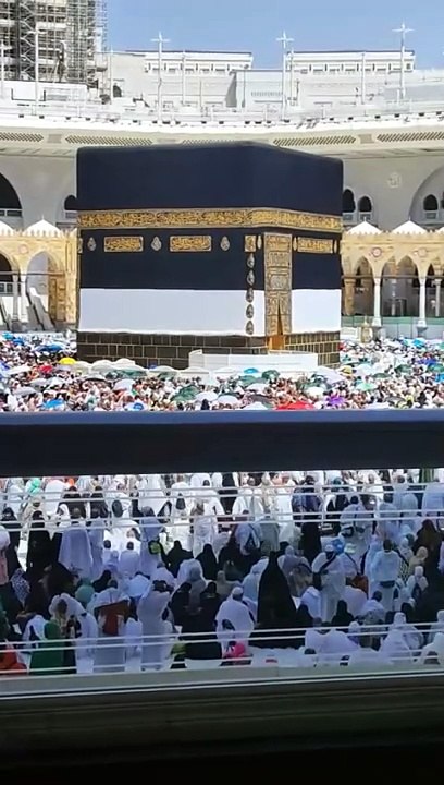 _حضورﷺ_نے_فرمایا_جو_سورہ_واقعہ_کی_تلاوت_کریں_☝_#kaabalive_#ytshort_#makkahofficial(480p)