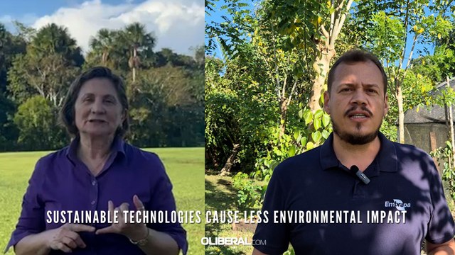 Sustainable technologies cause less environmental impact