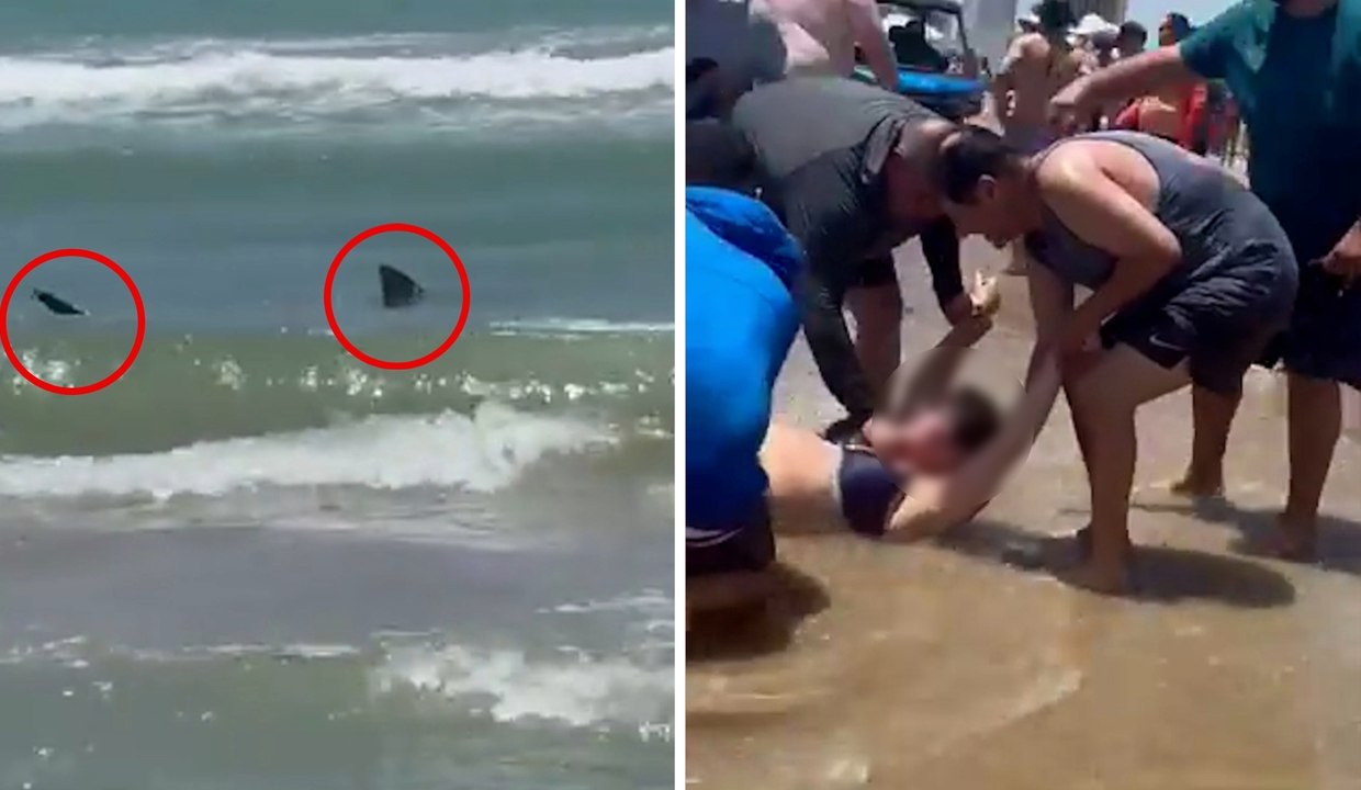 Tiburón ataca a dos personas en Isla del Padre, Texas en plenas celebraciones del 4 de julio