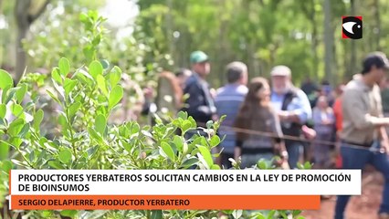 Download Video: Productores yerbateros solicitan cambios en la ley de promoción de bioinsumos