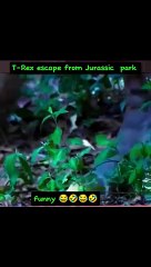 Funny Comedy 2024 Trending Funny Short Video 2024 #funny #comedy #shorts