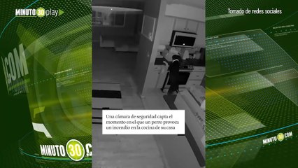 Perro desató un voraz incendio en su hogar al encender la estufa