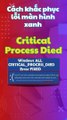 ⚡Lỗi màn hình xanh Critical Process Died #lỗi #bsod #critical #process #died #lỗimànhìnhxanh #xanh