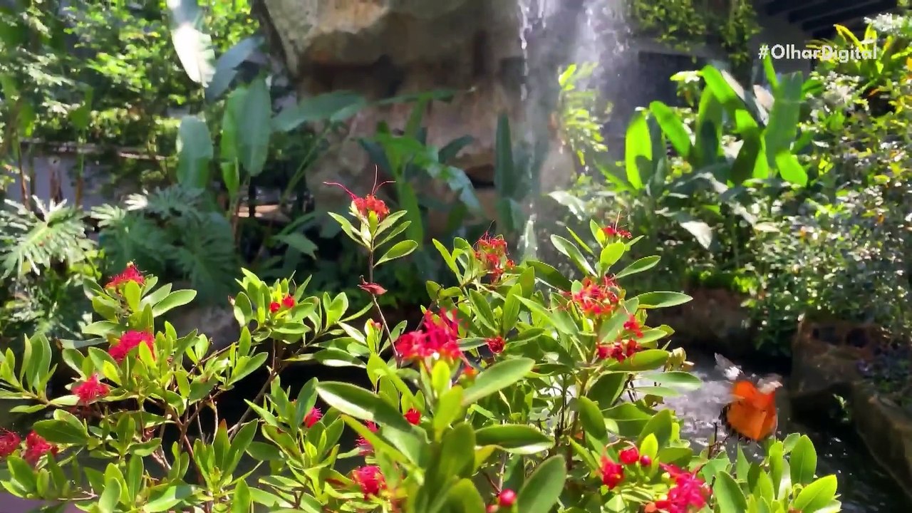 IA resolve mistério da teoria da evolução que intrigou Darwin