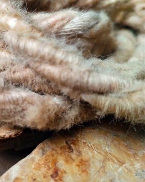 |Habib Ariel Coriat Harrar| Introducción a la Computación Cuántica (PARTE 1) (@HABIBARIELC)