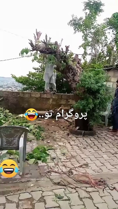 Very funny not to laugh enough