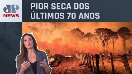 Região do Pantanal enfrenta risco de colapso; Patrícia Costa analisa