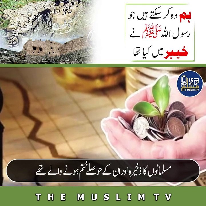 ہم فلسطین کیلئے کیا کر سکتے ہیں