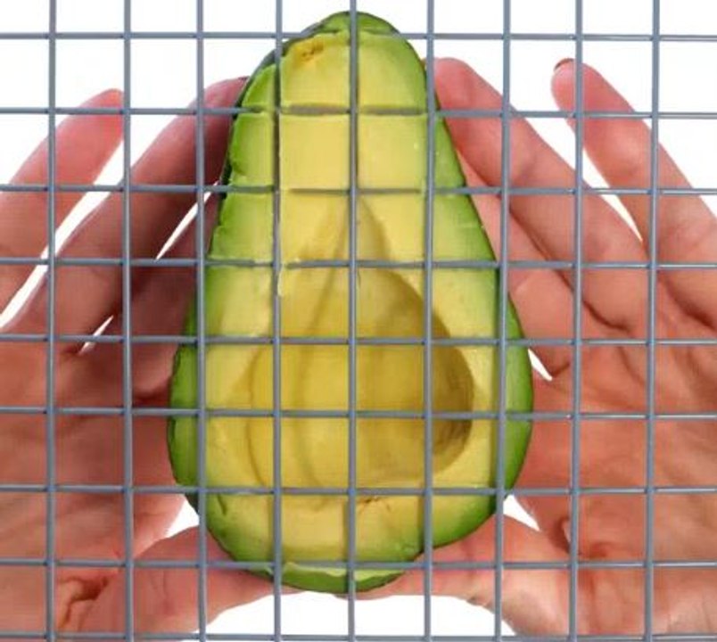 Creative cutting techniques to elevate your dishes!