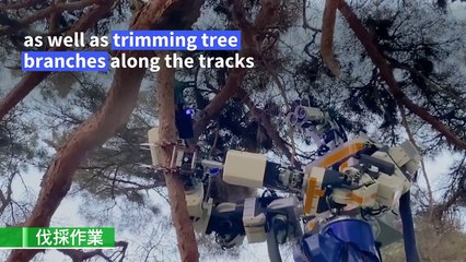 Japan deploys humanoid robot for railway maintenance