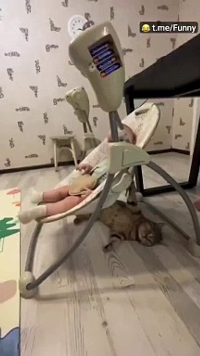 kitty to work