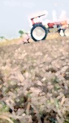 Dailymotion trending viral video New short