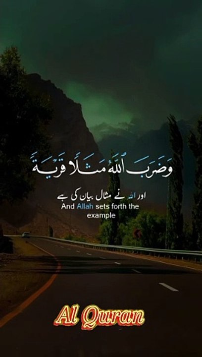 Quran Recitation video|Quran video