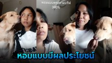 เจ้าหมาแสนรู้ หอมแก้มเจ้านาย เพื่อสิ่งนี้ ชาวเน็ตแซว เชิงพาณิชย์ชัด ๆ