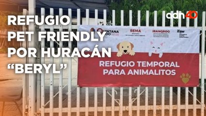Así es el refugio pet friendly de Tulum donde esperan la llegada del huracán "Beryl"