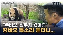 "푸바오, 할부지 왔어"...3개월 만에 다시 만났다 [지금이뉴스] / YTN