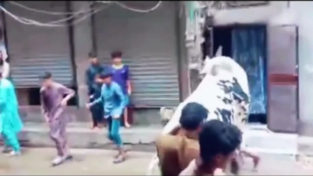 Eid Ul Adha Viral Moments I Anari Pagal Qasai I Try Not To Laugh 2