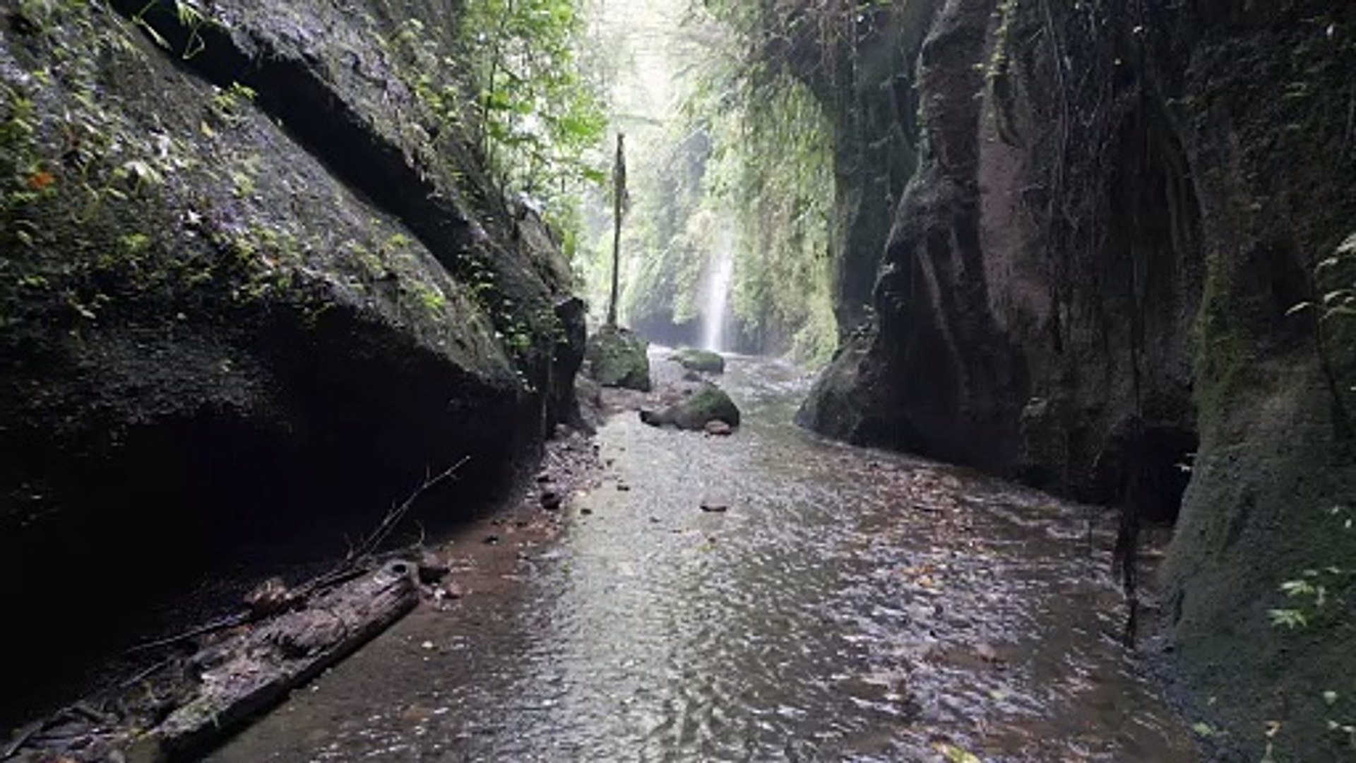 ⁣nature sounds relaxing music