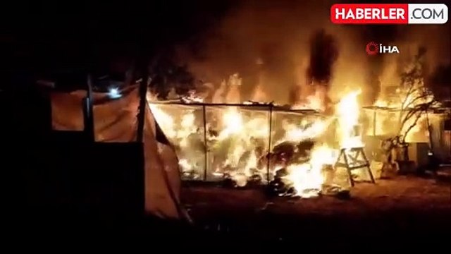 Ayvalık'ta çiftliğin samanlığından çıkan yangın zeytinlik alana sıçramadan kontrol altına alındı