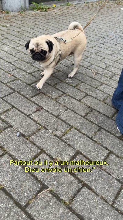 Notre nouveau bébé