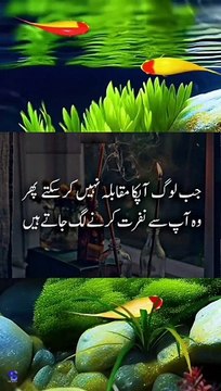 Urdu quotes Amazing|aqwal e zareen|gehri baatien |deeni baatien|best Urdu quotes mix,a