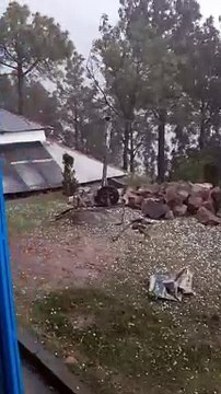 e5f67fbb-9630-4936-a4d2-17ff4f0d6431