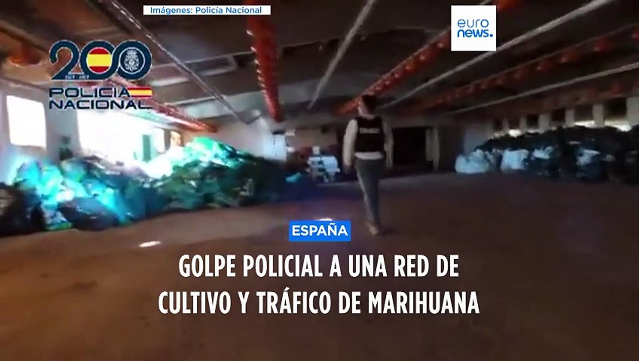 Golpe policial en España a unos invernaderos donde se cultivaban más de 3.000 plantas de marihuana