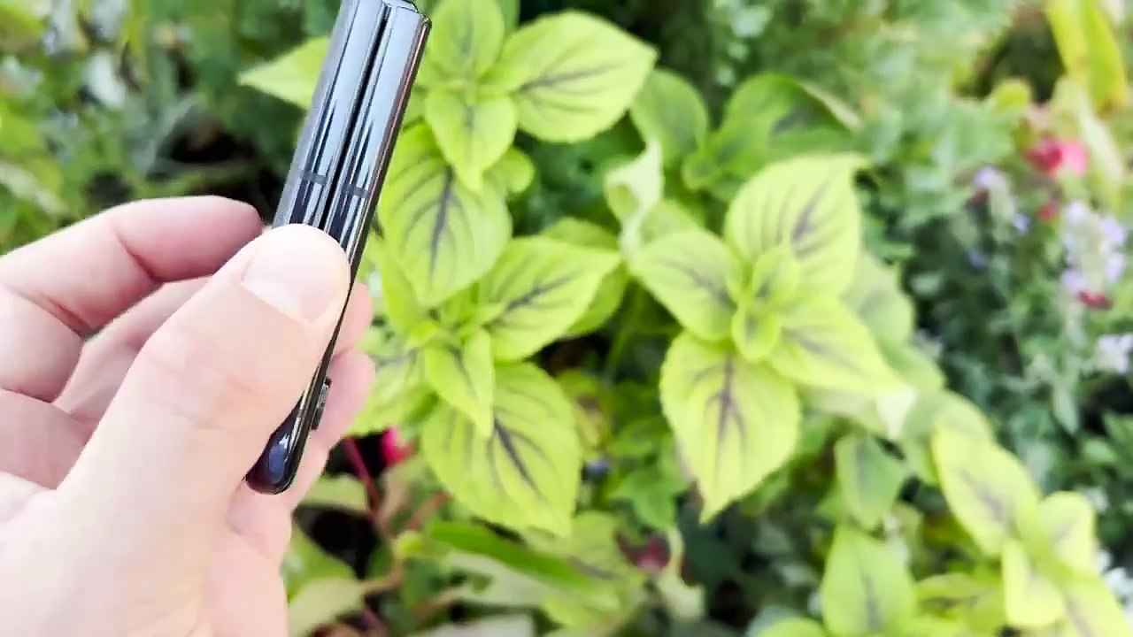 Las apuestas de Hisense para el futuro, los nuevos Razr de Motorola y más | Milenio Tech