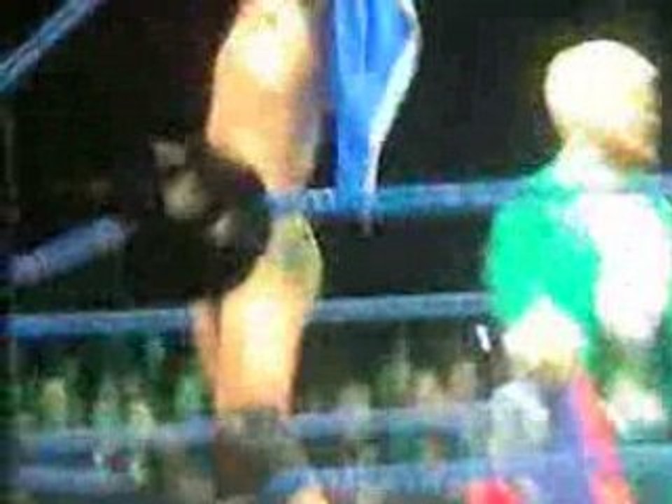 WWE Wrestlemania 2008 Revenge Tour Video 07