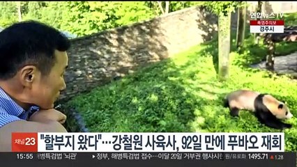 "할부지 왔다"'…강철원 사육사, 92일 만에 푸바오 재회