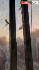 Merve Özbey güvenlik gerekçesiyle konsere çıkmadan şehri terk etti! Belediye Başkanı öfke kustu: Akıl tutulması