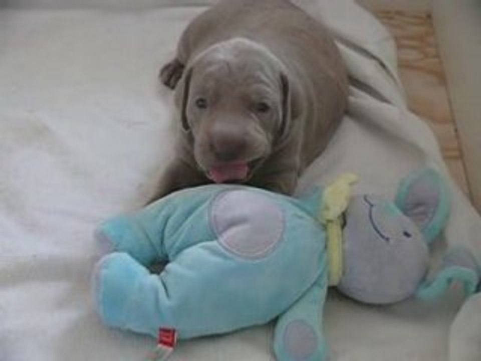 Secretdelune_15042008