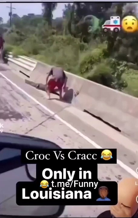 idiot 