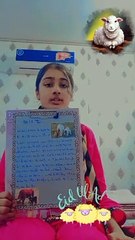 School Project Ideas and Tips