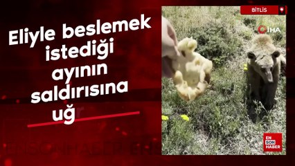 Bitlis'te eliyle beslemek istediği ayının saldırısına uğradı