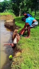 Funny video #funny #viralshorts #entertainment #shorts