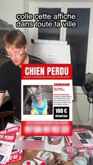 Prank : Mettre des fausse affiches de chien dans toute la ville