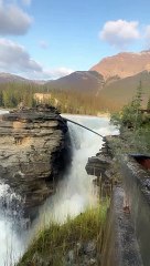 The Best Therapy is Nature Therapy ❤️