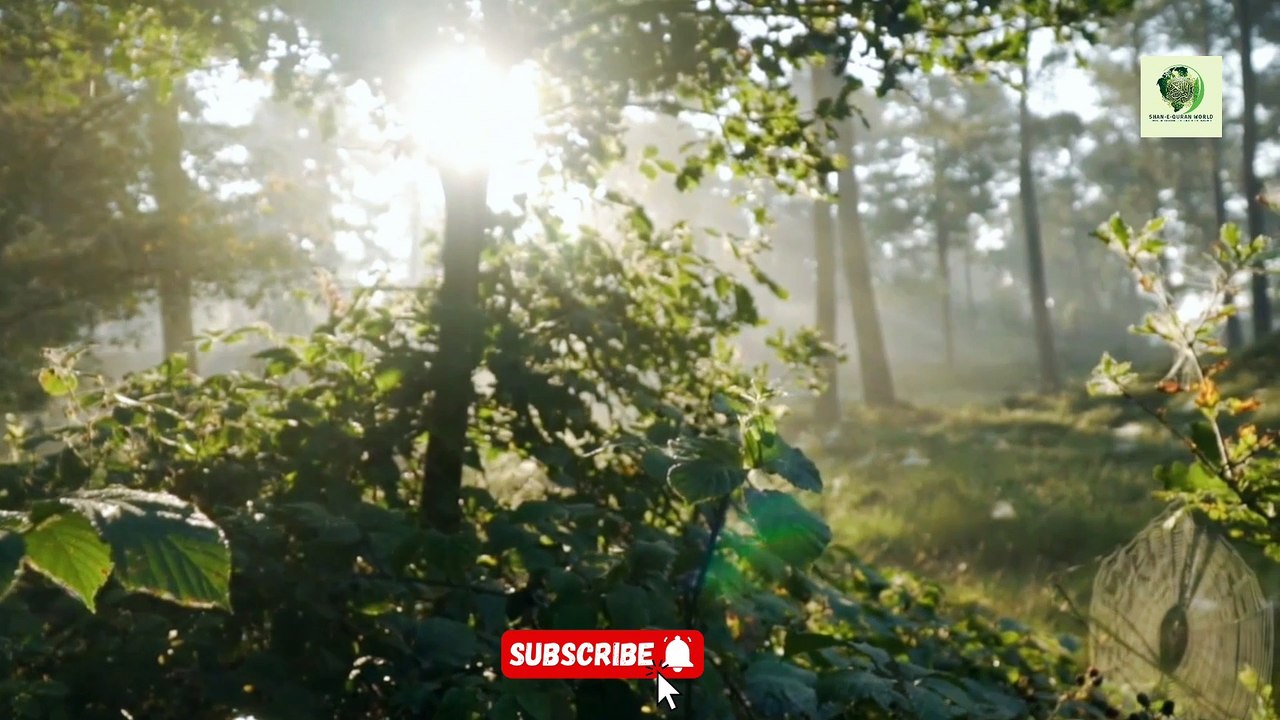 Sahih Bukhari Hadees No. 313 314 316 | Hadees Nabvi in Urdu | Shan E Quran world