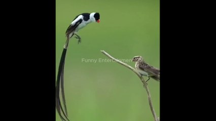 What is the power of God. He made every thing which is surprizing for us.