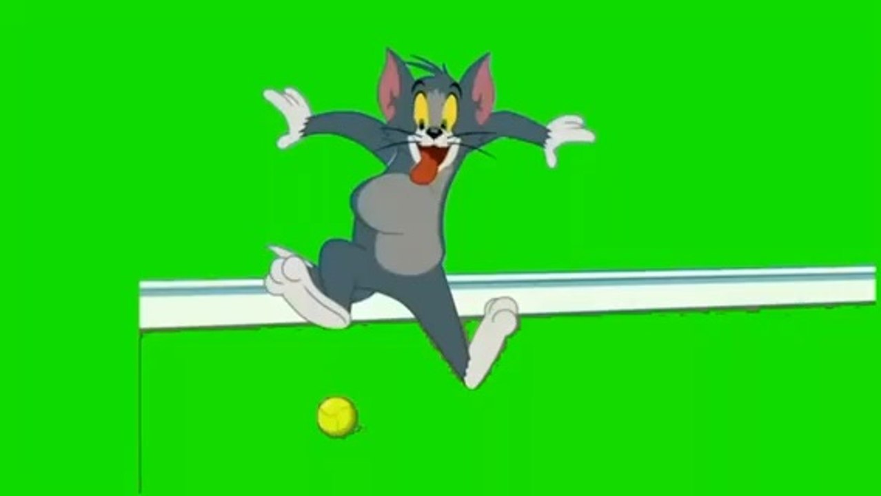 Mr Tom vs Mr Jerry