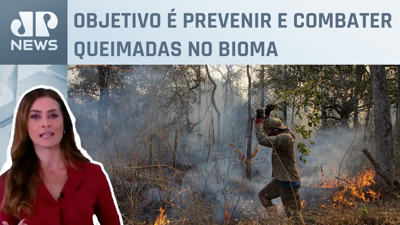 Comissão do Meio Ambiente aprova Estatuto do Pa...