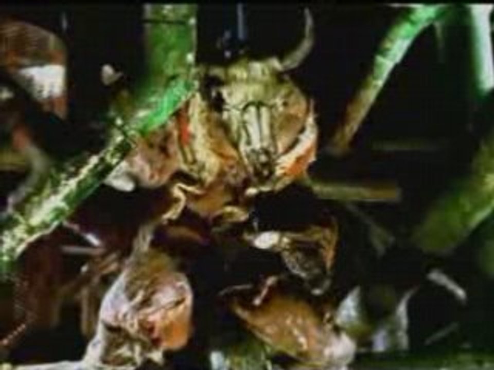 X Japan - Drain
