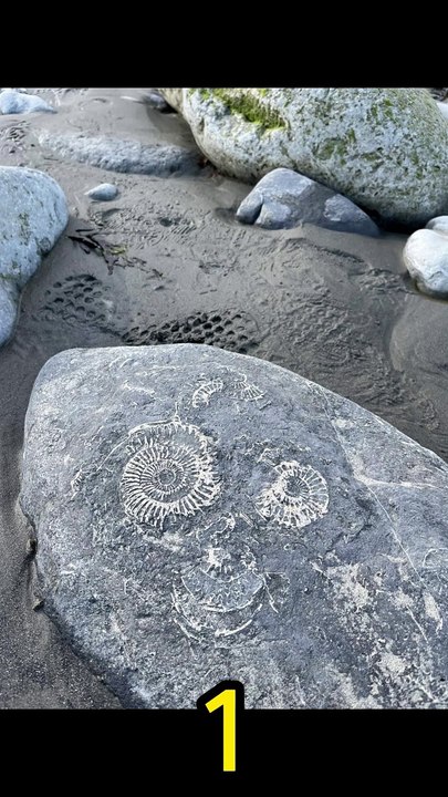 Seeing Faces in Everyday Objects - Part 65