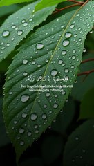 Surat An-Anbiya 89-90 (Nabi Zakaria memohon keturunan kepada ALLAH SWT)