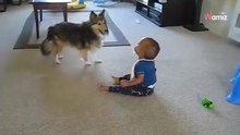 Mama lässt Baby mit Hund alleine: Was dann passiert, haut alle um (Video)