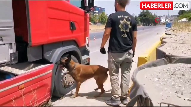 Samsun'da narkotik dedektör köpeği tırda çeşit çeşit uyuşturucu buldu